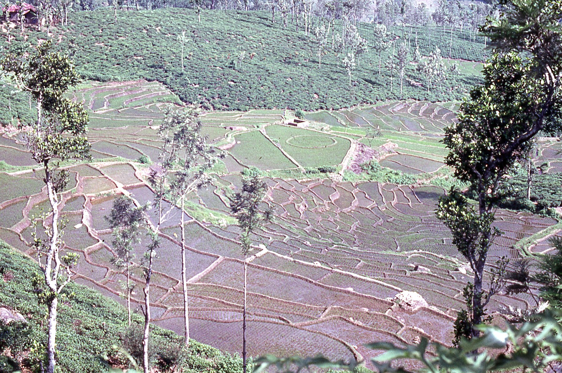 1972 Sri Lanka